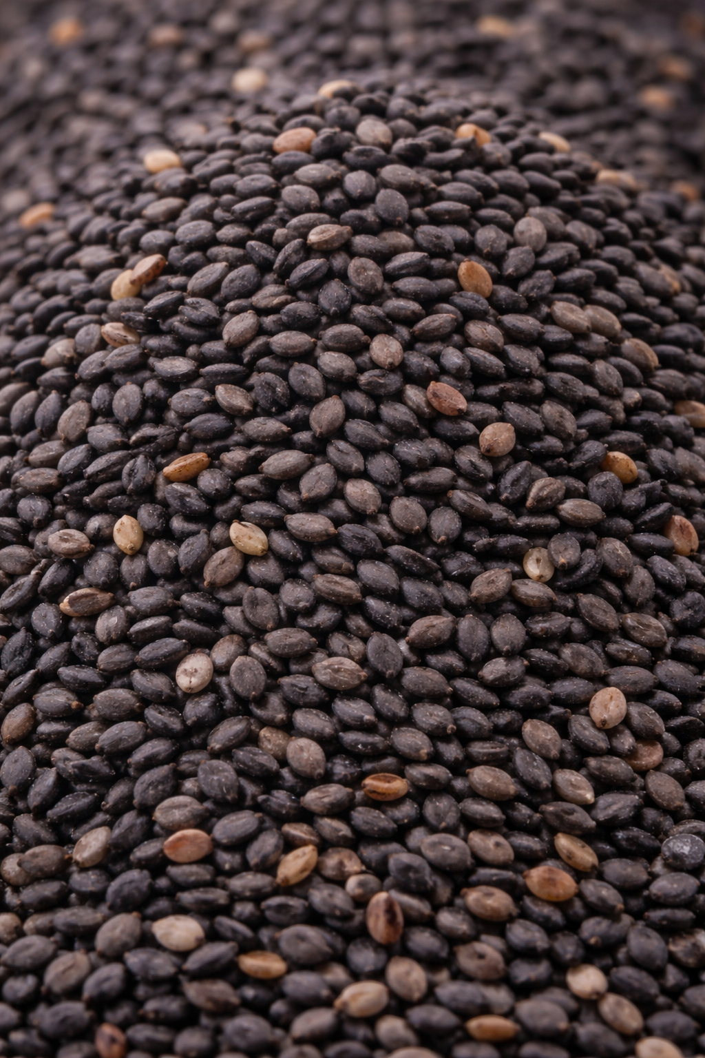 Black Sesame Seeds