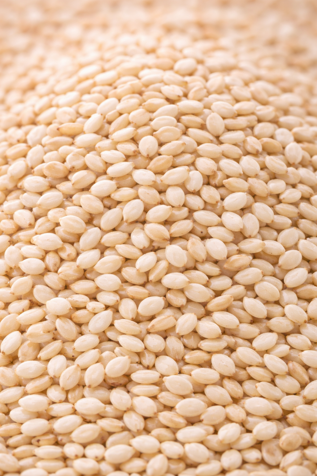 Hulled Sesame Seeds