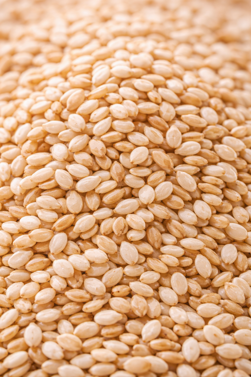 Natural Sesame Seeds