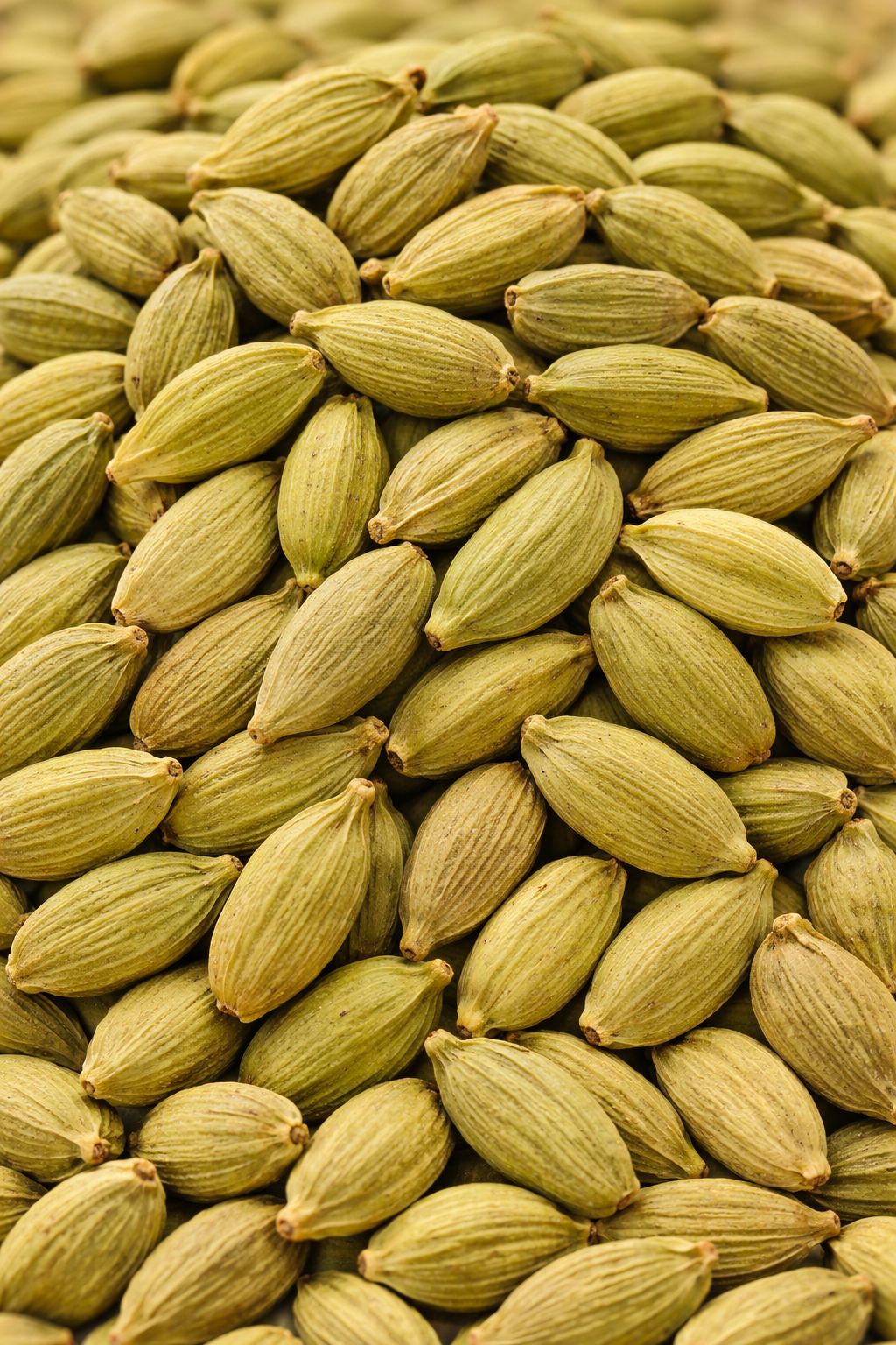 Cardamom