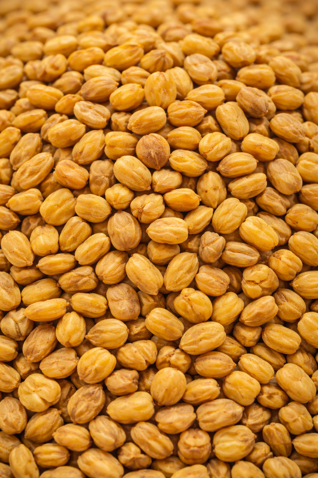 Fenugreek Seeds