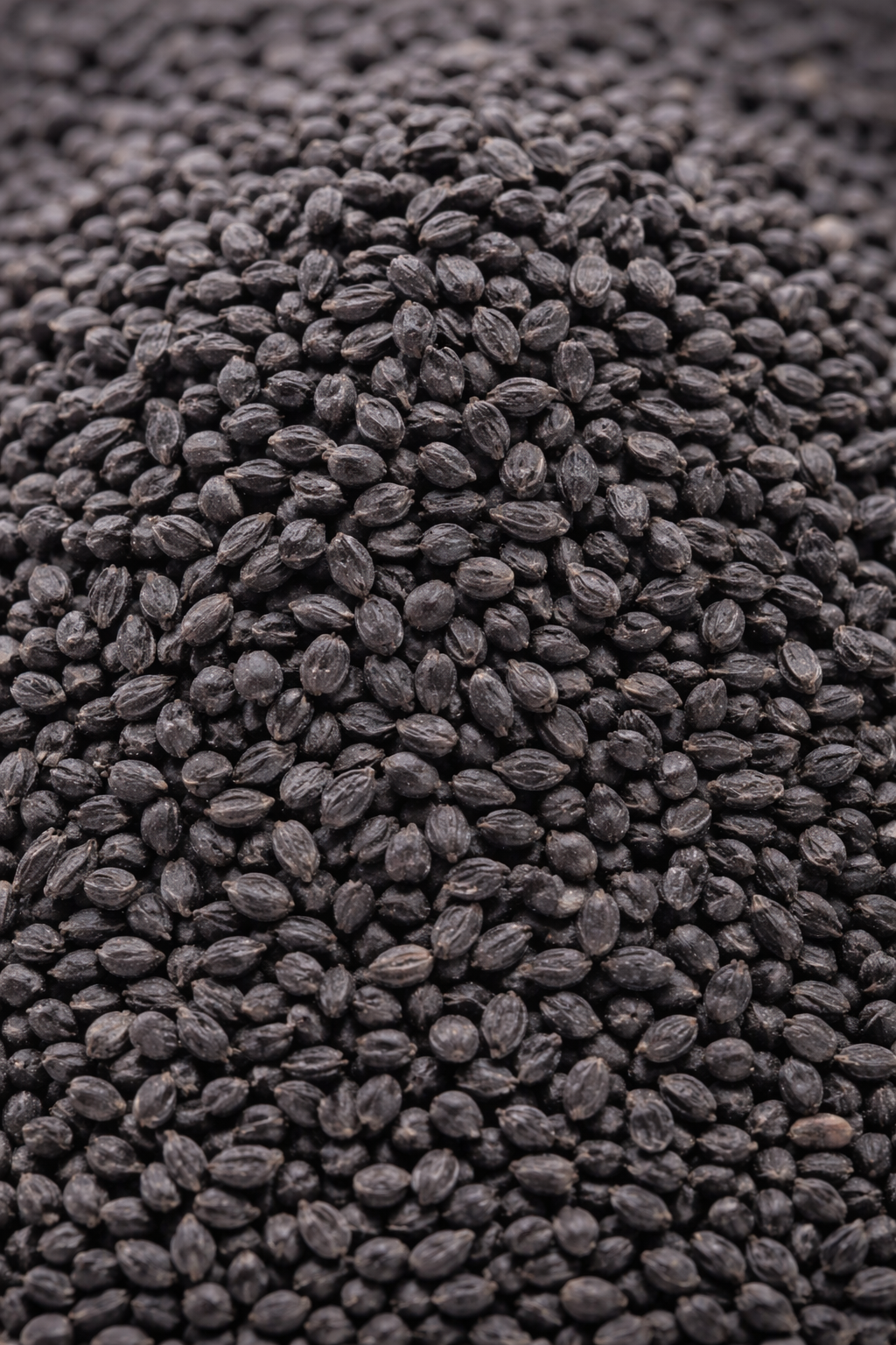 Kalonji Seeds (Nigella / Black Cumin Seeds)