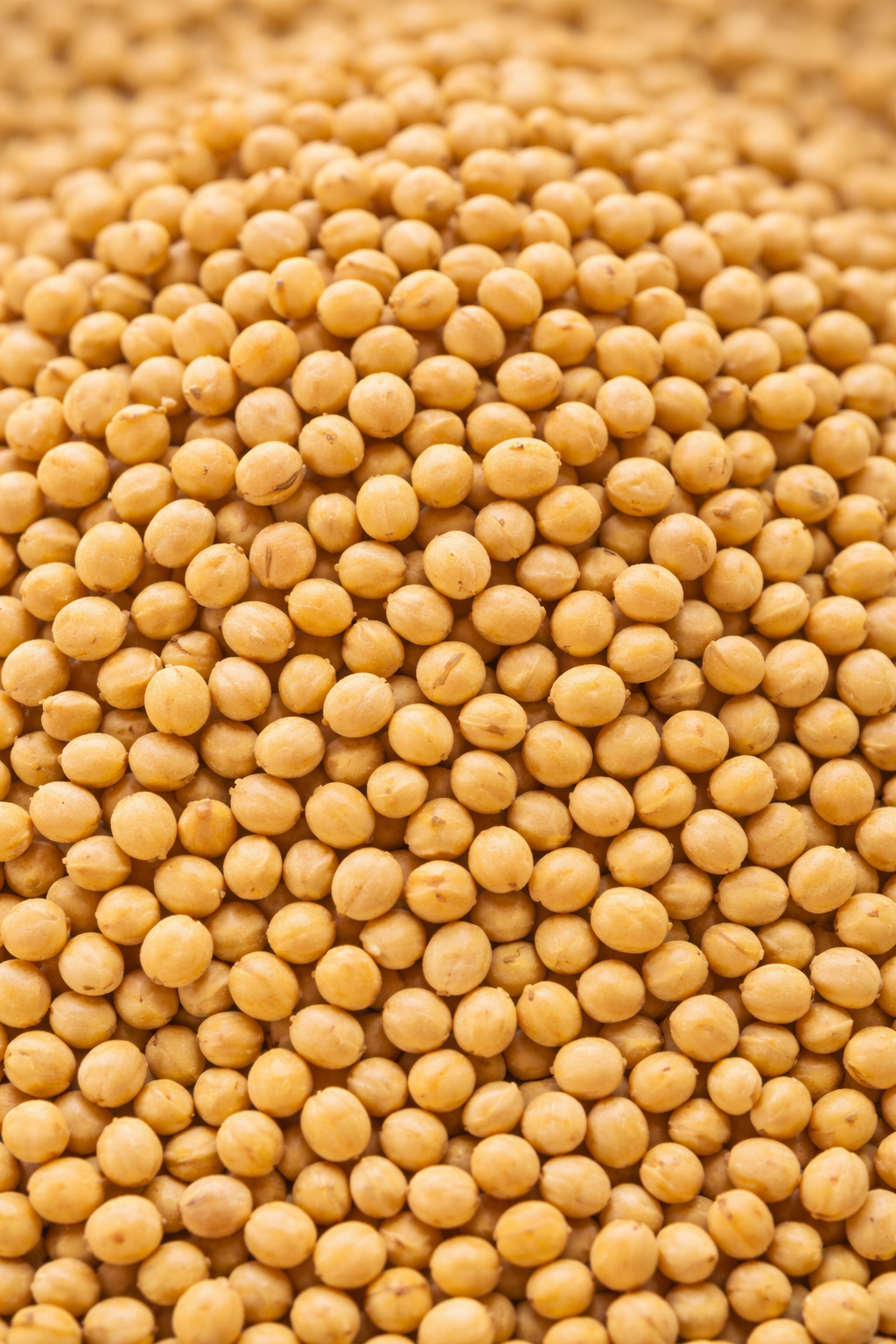 Yellow Mustard Seeds